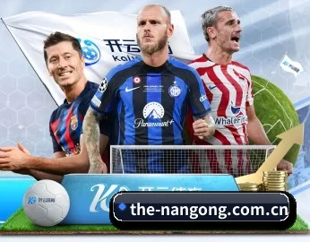 the-nangong.com.cn的故事 - 体育资讯内容服务